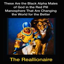 Book of Alpharonomy = Dr. Boa