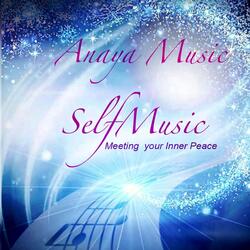 Selfmusic, Mov X