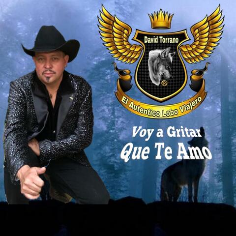 Voy a Gritar Que Te Amo