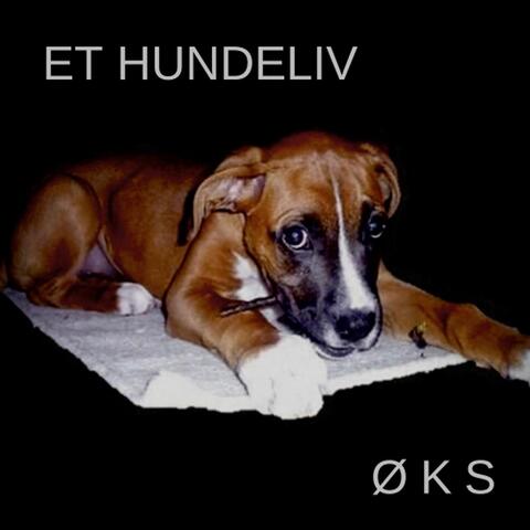 Et Hundeliv