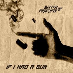 If I Had a Gun