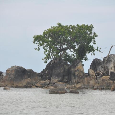 Massukos