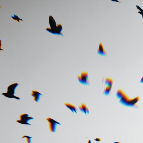 Pointlessness (feat. Kenosha Kid)