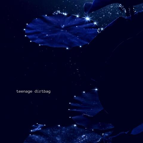 Teenage Dirtbag