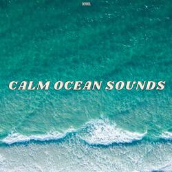 Sleep by the Ocean with Ocean Sounds