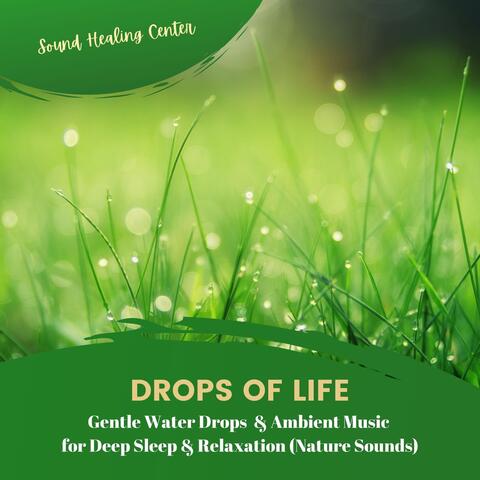 Drops of Life: Gentle Water Drops & Ambient Music for Deep Sleep & Relaxation
