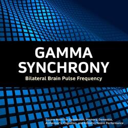 Gamma Synchrony: Bilateral Brain Pulse Frequency Square Wave for Depression, Memory, Dementia, Alzheimer's, Cognition, And Athletic / Talent Performance