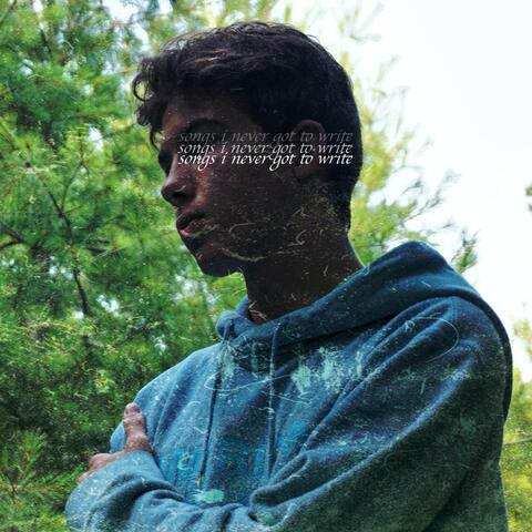Songs I Never Got to Write