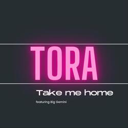 Take Me Home (feat. Big Gemini)