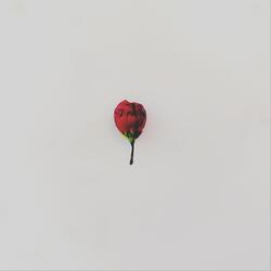 Without Me Instead