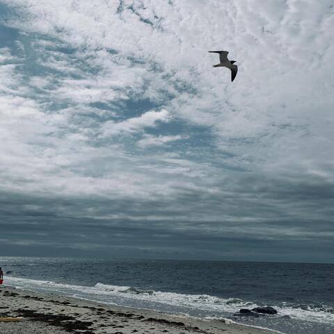 Soundscapes