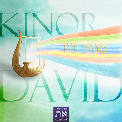 Kinor David