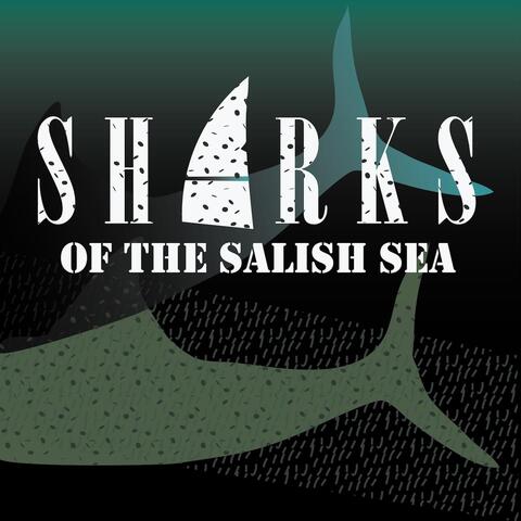 Sharks of the Salish Sea