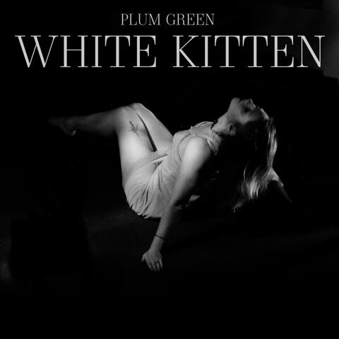 White Kitten