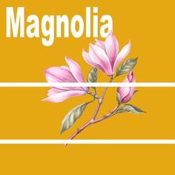Magnolia
