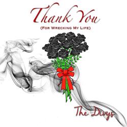 Thank You (For Wrecking My Life)