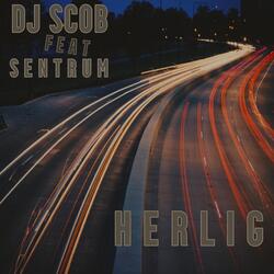 Herlig (feat. Sentrum)