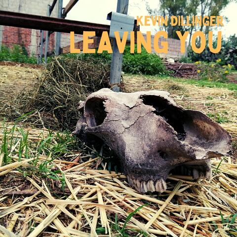 Leaving You