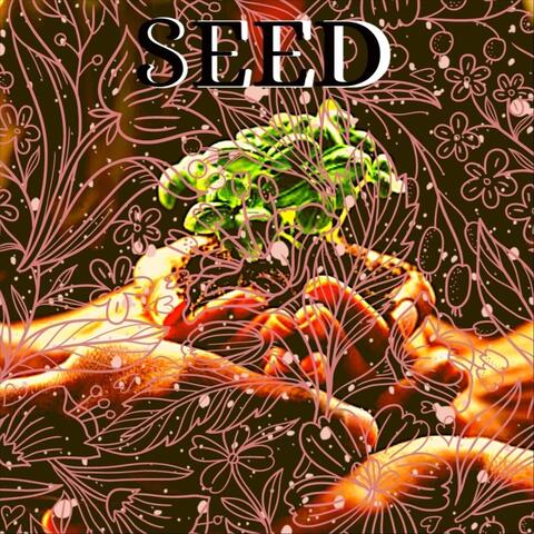 Seed