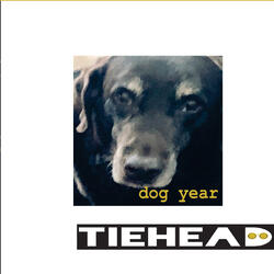 All Trains Lead to New York