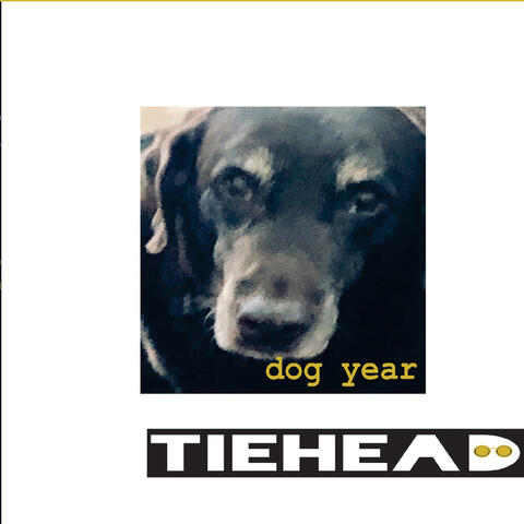 Dog Year