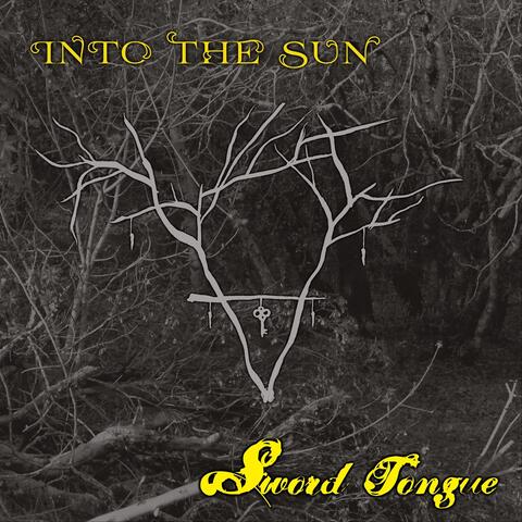 Into the Sun