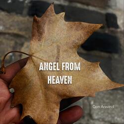 Angel From Heaven