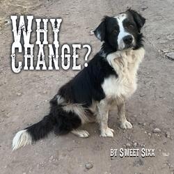 Why Change?