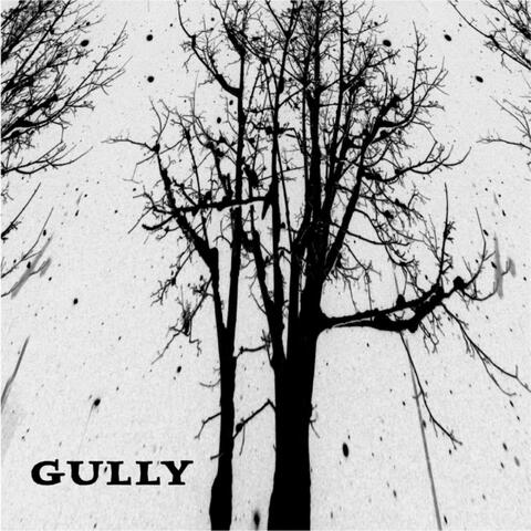 Gully - EP