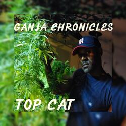 Push up U Lighta (Hip Hop Refit)