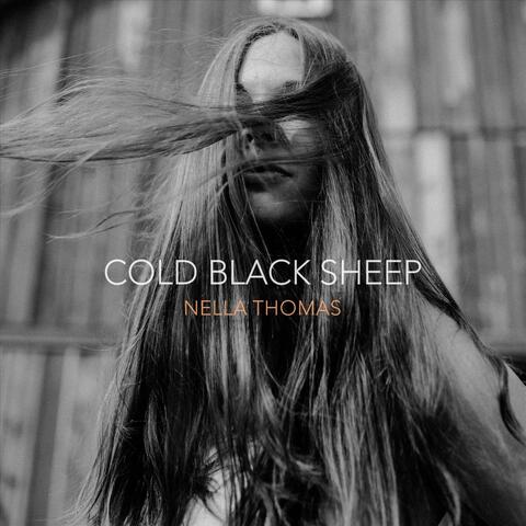 Cold Black Sheep