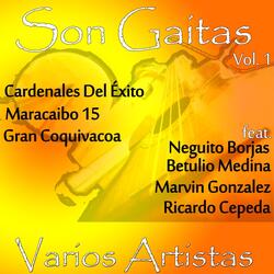 Sin Rencor (feat. Neguito Borjas)
