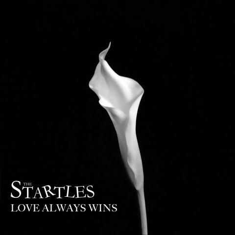 Love Always Wins