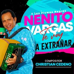 Te Voy a Extrañar