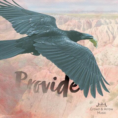 Provide