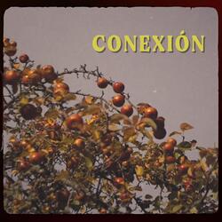 Conexión