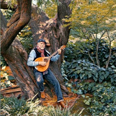 Old Roots, New Branches (Irish / Celtic Edition)