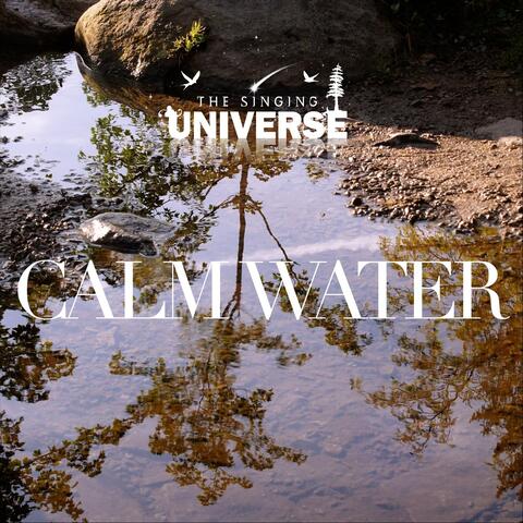 Calm Water