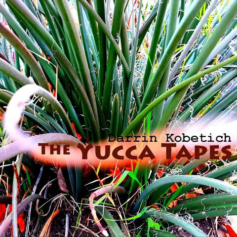 The Yucca Tapes