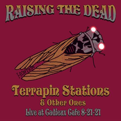 Terrapin Stations & Other Ones: Live at Cadieux Cafe