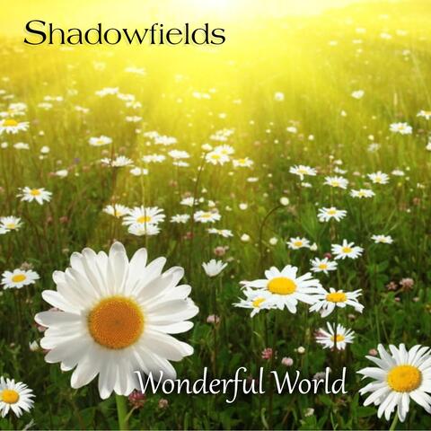 Wonderful World