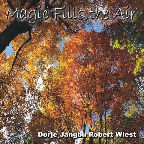 Magic Fills the Air