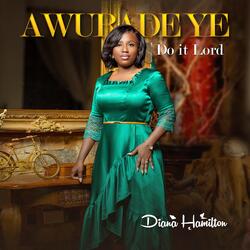 Awurade Ye Do It Lord
