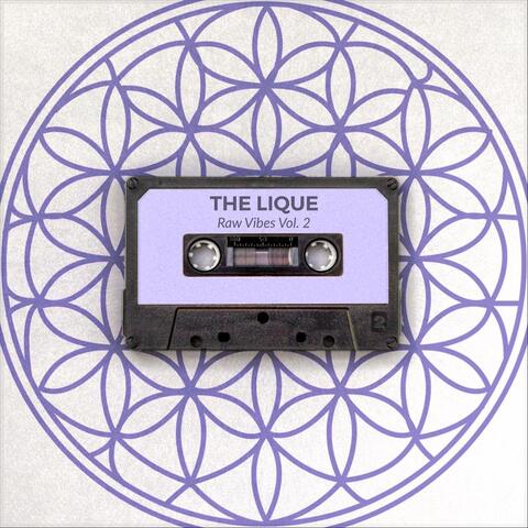Raw Vibes, Vol. 2