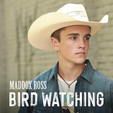 Bird Watching