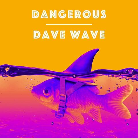 Dangerous (feat. Liel Bar-Z)