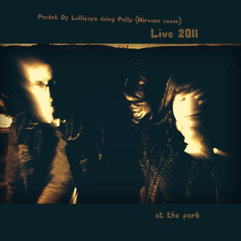 Polly Live 2011 at the Park (Live)