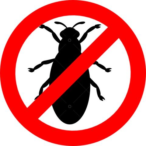 Bug Repellent