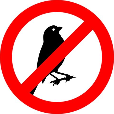 Bird Repellent