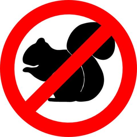 Squirrel Repellent